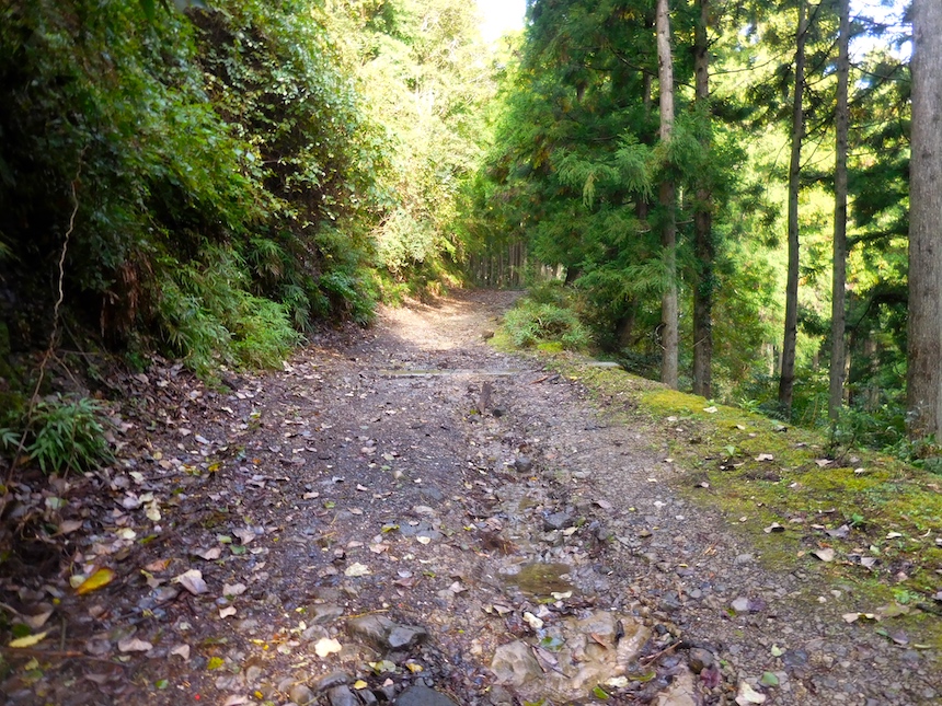 ATT BIKE PACKING:バイクパッキングで一泊二日の旅|narifuri ATT BIKE PACKING:バイクパッキングで一泊二日の旅|narifuri